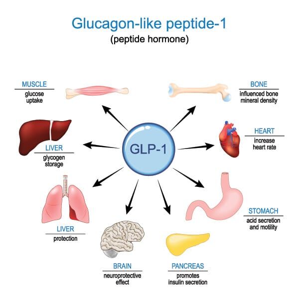 GLP 1s for Weight Loss Benton AR - Recover Restore Revive GLP 1s for Weight Loss Benton AR - Recover Restore Revive